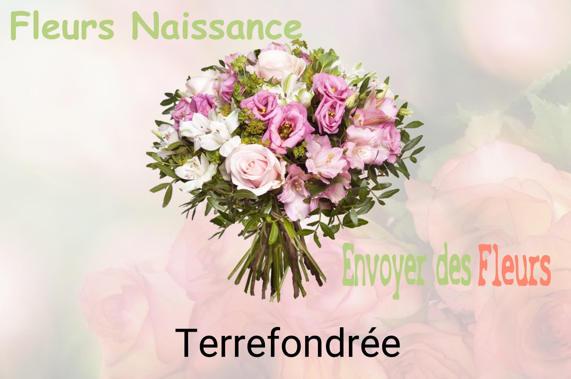 Bouquet de fleurs de naissance livré à Terrefondrée